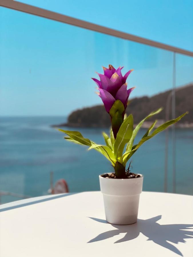 Bed and Breakfast Ionian Terrace Himarë Exteriér fotografie